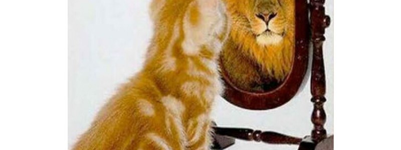 “Liderazgo” – Una charla para identificar(nos) líderes