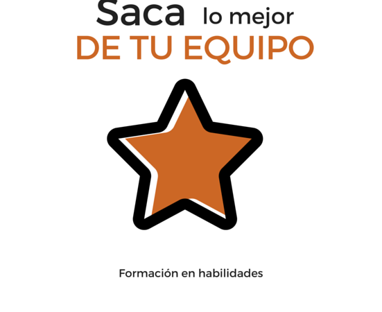 Saca las mejores habilidades profesionales en tu equipo de trabajo
